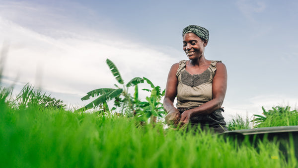 Explore Africa: Malawi