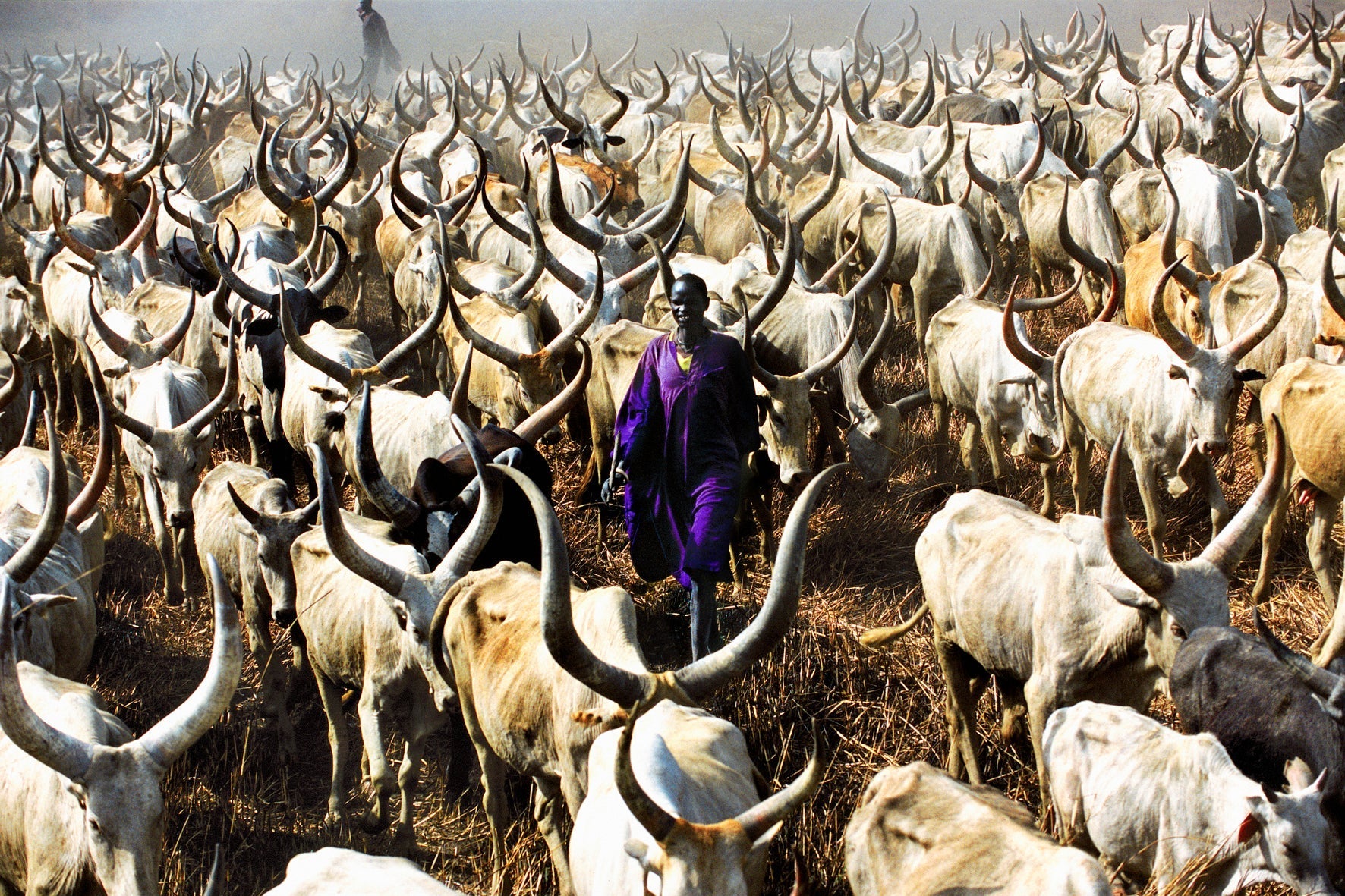 Spotlight on the Dinka Tribe of South Sudan