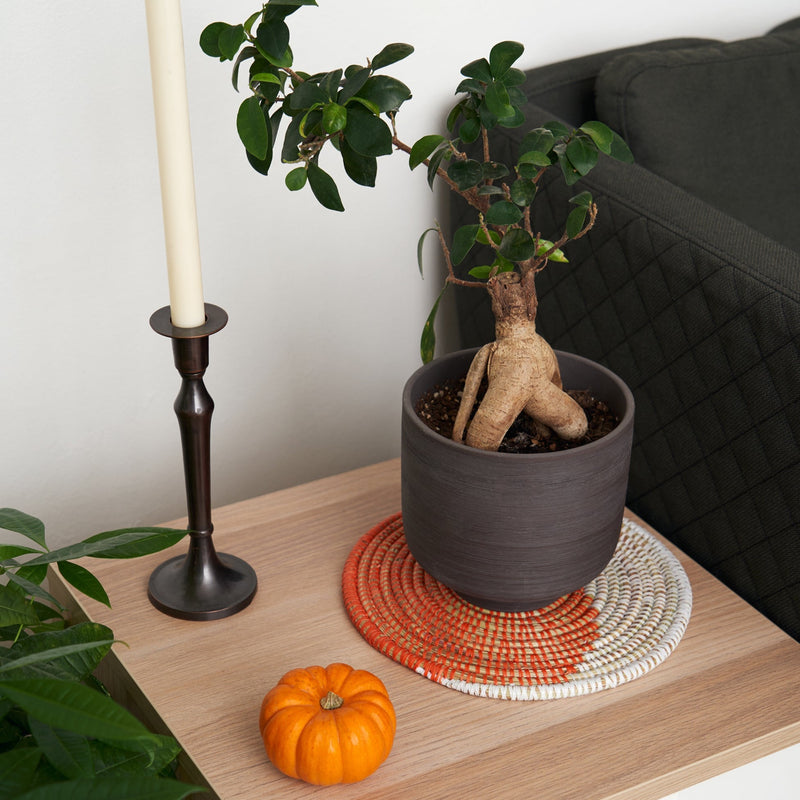 Mangey Placemats: Set Of Two